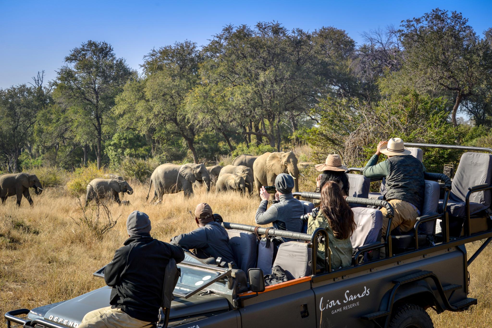 Lion Sands Tinga Lodge Skukuza Eksteriør bilde