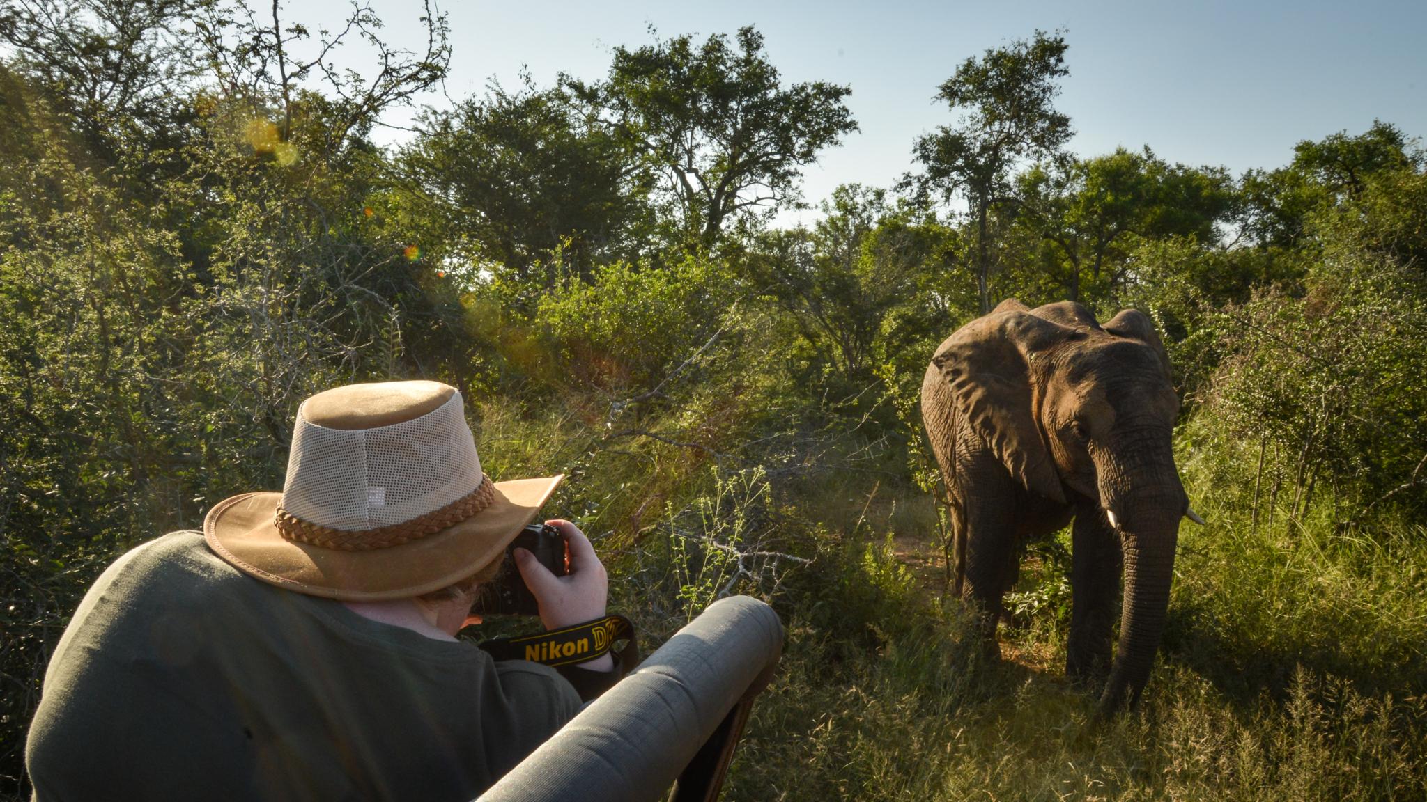 Lion Sands Tinga Lodge Skukuza Eksteriør bilde